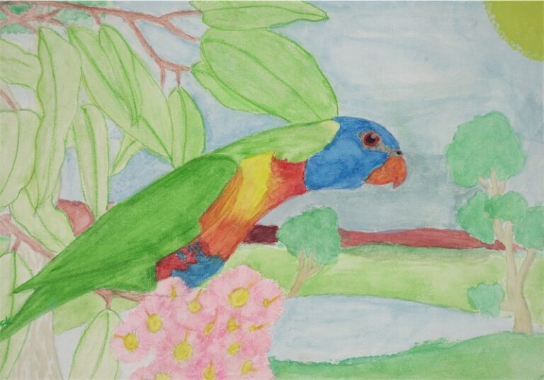 Rainbow Lorikeet – Creative Arts Nest